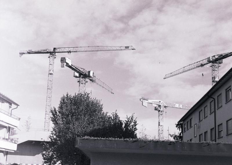 Featured image of post 博客旅程：小站初建成